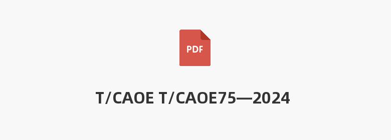 T/CAOE T/CAOE75—2024